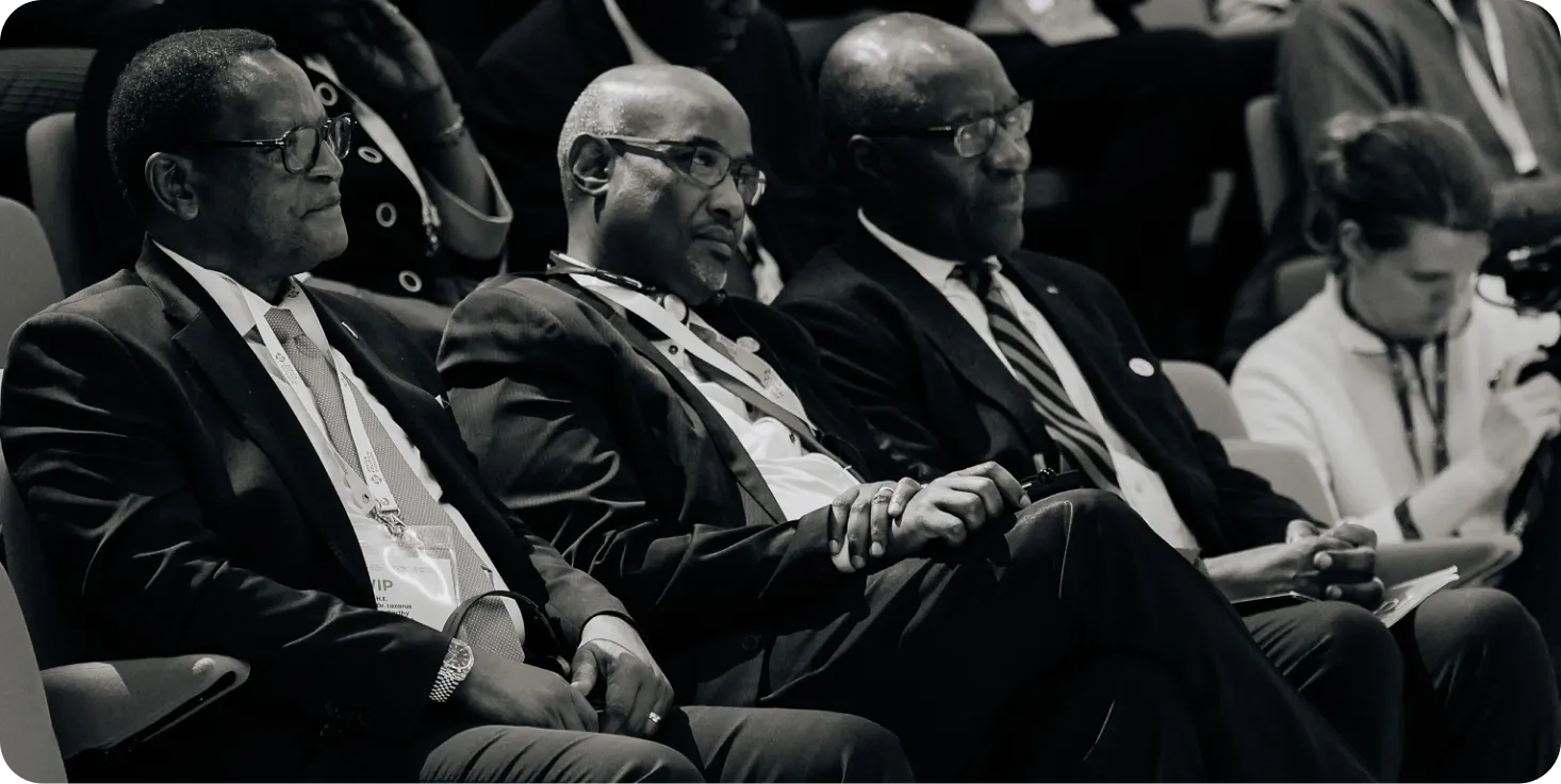 Hon. Mulambo H. Haimbe - APO 2026