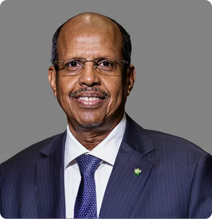 S.E. Mahamoud Ali Youssouf